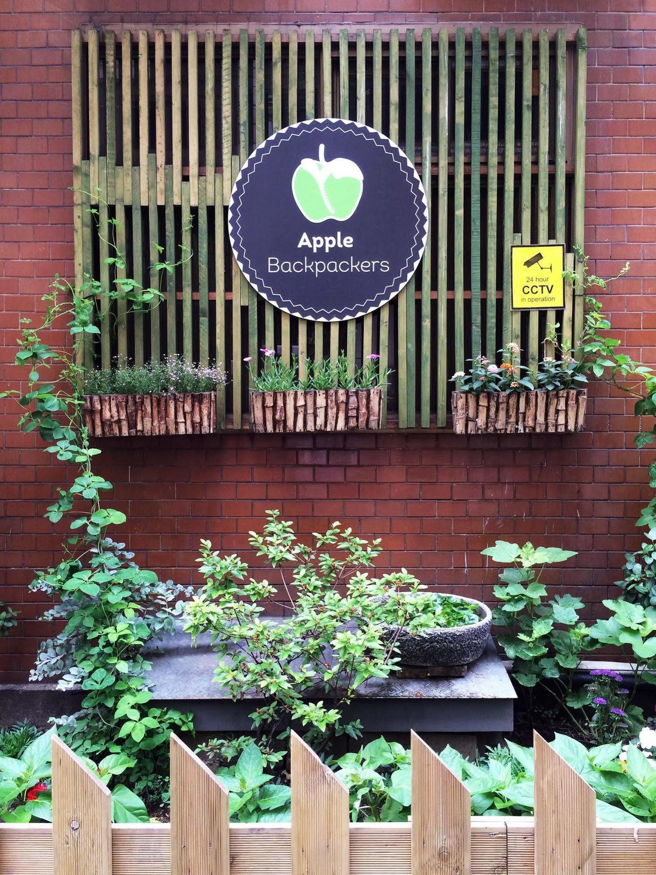Apple Backpackers Seoul