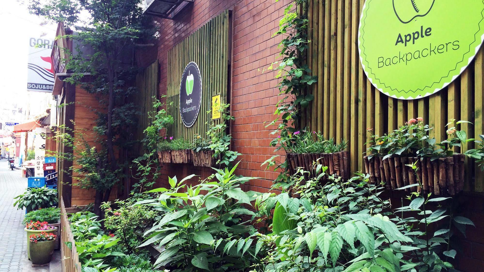 Hostel Apple Backpackers Seoul