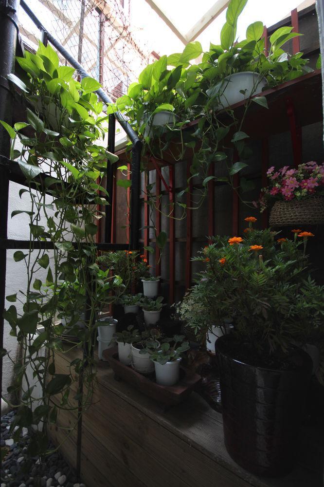 Apple Backpackers * Seul